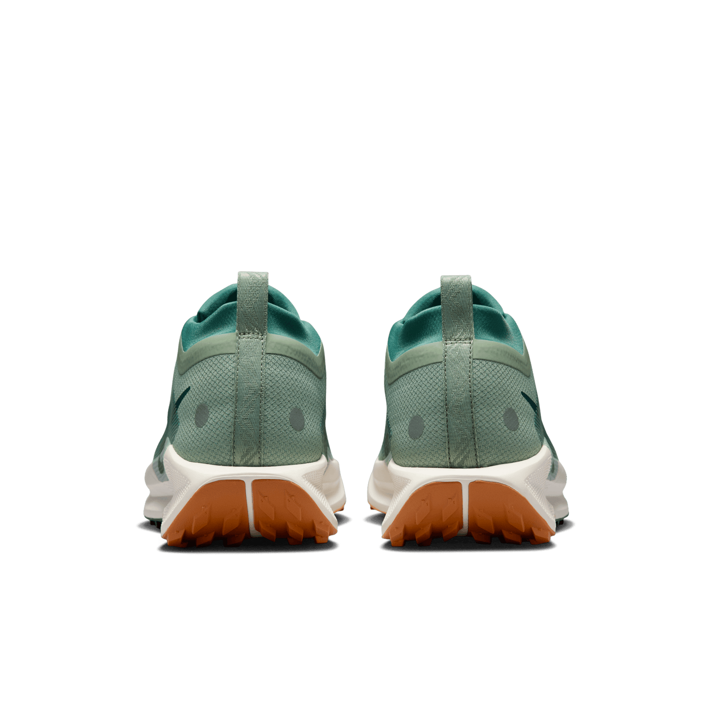 Mens Nike Pegasus Trail 5 GTX