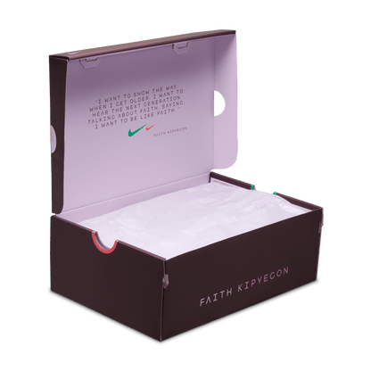 Womens Nike Pegasus Premium FK